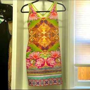 Clover canyon dress